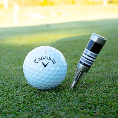 Best Single Prong Divot Tool